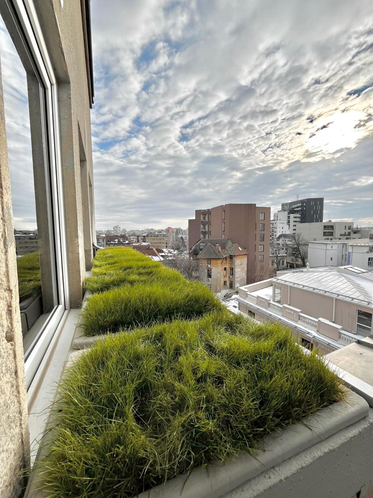 Terrace View Downtown Studio Бухарест Екстер'єр фото
